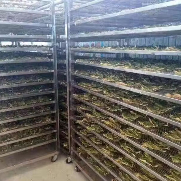 thiết bị sấy để b&aacute;n